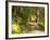 Track to Kondalilla Falls, Kondalilla National Park, Sunshine Coast, Queensland, Australia-David Wall-Framed Photographic Print