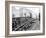 Tracks at 3rd and Madison, Seattle, 1907-Asahel Curtis-Framed Giclee Print