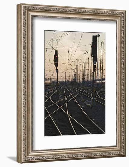 Tracks at main station, Frankfurt, Hesse, Germany, Europe-Markus Lange-Framed Photographic Print