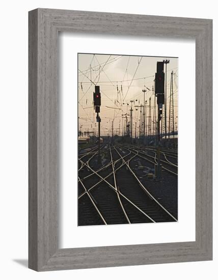 Tracks at main station, Frankfurt, Hesse, Germany, Europe-Markus Lange-Framed Photographic Print