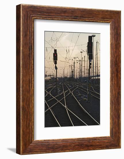 Tracks at main station, Frankfurt, Hesse, Germany, Europe-Markus Lange-Framed Photographic Print