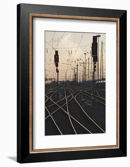 Tracks at main station, Frankfurt, Hesse, Germany, Europe-Markus Lange-Framed Photographic Print