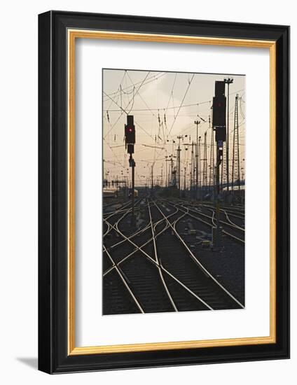 Tracks at main station, Frankfurt, Hesse, Germany, Europe-Markus Lange-Framed Photographic Print