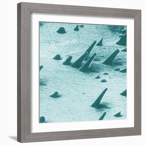 Tracks from cosmic rays, magnified 800 times-Science Source-Framed Giclee Print