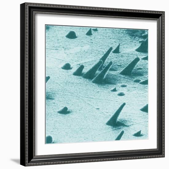 Tracks from cosmic rays, magnified 800 times-Science Source-Framed Giclee Print