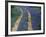 Tracks in Bluebonnets, near Marble Falls, Texas, USA-Darrell Gulin-Framed Photographic Print