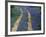 Tracks in Bluebonnets, near Marble Falls, Texas, USA-Darrell Gulin-Framed Photographic Print