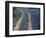 Tracks in Bluebonnets, near Marble Falls, Texas, USA-Darrell Gulin-Framed Photographic Print