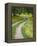 Tracks in Field of Coreopsis Wildflowers Near Brenham, Texas, USA-Darrell Gulin-Framed Premier Image Canvas