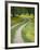 Tracks in Field of Coreopsis Wildflowers Near Brenham, Texas, USA-Darrell Gulin-Framed Photographic Print