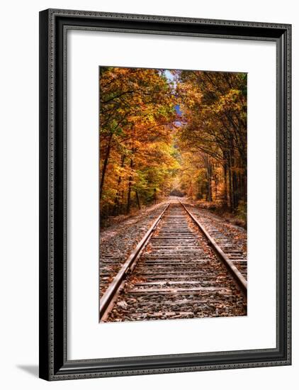 Tracks Into Fall, White Mountains New Hampshire, New England in Autumn-Vincent James-Framed Photographic Print