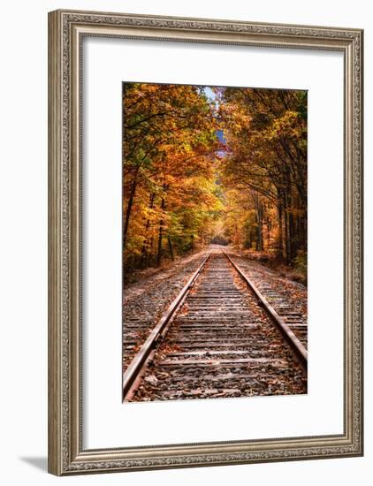 Tracks Into Fall, White Mountains New Hampshire, New England in Autumn-Vincent James-Framed Photographic Print