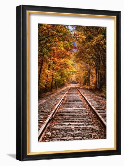 Tracks Into Fall, White Mountains New Hampshire, New England in Autumn-Vincent James-Framed Photographic Print