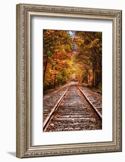 Tracks Into Fall, White Mountains New Hampshire, New England in Autumn-Vincent James-Framed Photographic Print