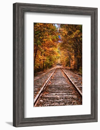 Tracks Into Fall, White Mountains New Hampshire, New England in Autumn-Vincent James-Framed Photographic Print