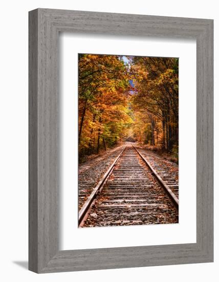 Tracks Into Fall, White Mountains New Hampshire, New England in Autumn-Vincent James-Framed Photographic Print