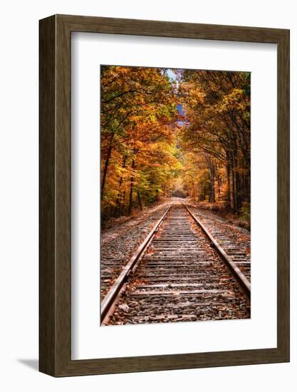 Tracks Into Fall, White Mountains New Hampshire, New England in Autumn-Vincent James-Framed Photographic Print