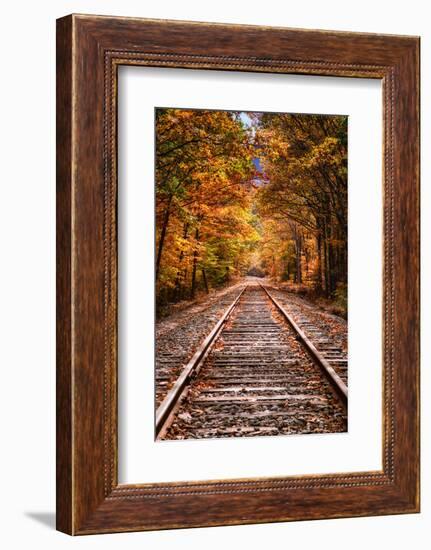 Tracks Into Fall, White Mountains New Hampshire, New England in Autumn-Vincent James-Framed Photographic Print