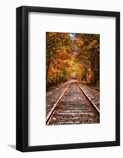 Tracks Into Fall, White Mountains New Hampshire, New England in Autumn-Vincent James-Framed Photographic Print