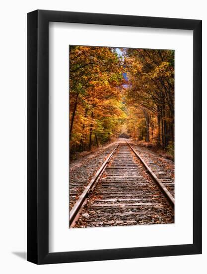 Tracks Into Fall, White Mountains New Hampshire, New England in Autumn-Vincent James-Framed Photographic Print