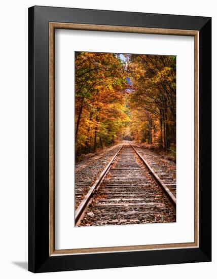 Tracks Into Fall, White Mountains New Hampshire, New England in Autumn-Vincent James-Framed Photographic Print