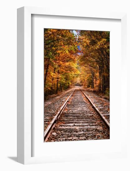 Tracks Into Fall, White Mountains New Hampshire, New England in Autumn-Vincent James-Framed Photographic Print