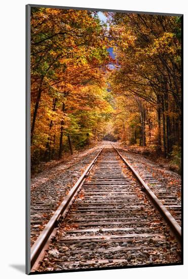 Tracks Into Fall, White Mountains New Hampshire, New England in Autumn-Vincent James-Mounted Photographic Print