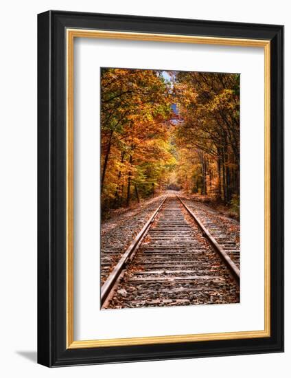 Tracks Into Fall, White Mountains New Hampshire, New England in Autumn-Vincent James-Framed Photographic Print