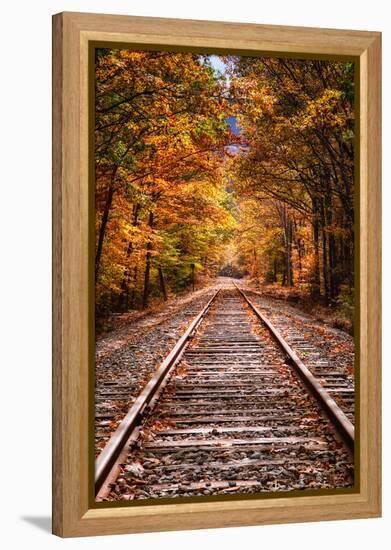 Tracks Into Fall, White Mountains New Hampshire, New England in Autumn-Vincent James-Framed Premier Image Canvas