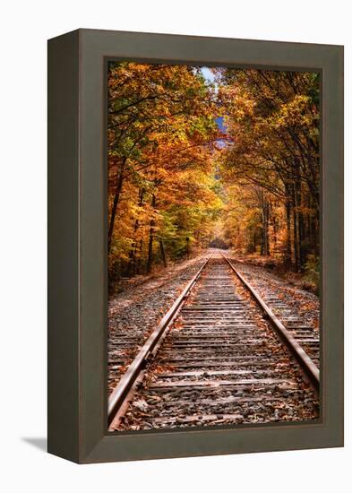 Tracks Into Fall, White Mountains New Hampshire, New England in Autumn-Vincent James-Framed Premier Image Canvas