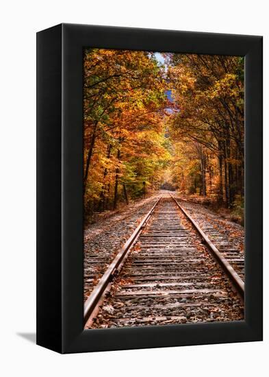 Tracks Into Fall, White Mountains New Hampshire, New England in Autumn-Vincent James-Framed Premier Image Canvas