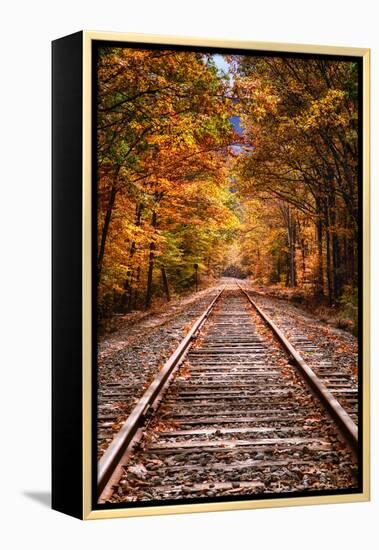 Tracks Into Fall, White Mountains New Hampshire, New England in Autumn-Vincent James-Framed Premier Image Canvas