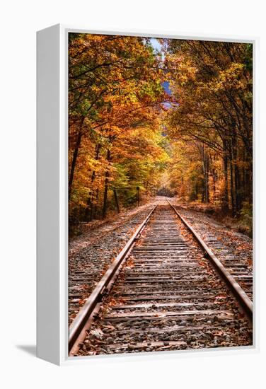 Tracks Into Fall, White Mountains New Hampshire, New England in Autumn-Vincent James-Framed Premier Image Canvas