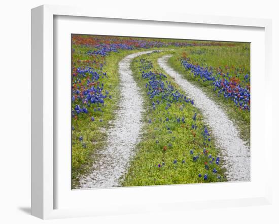 Tracks Leading Through a Wildflower Field, Texas, USA-Julie Eggers-Framed Photographic Print