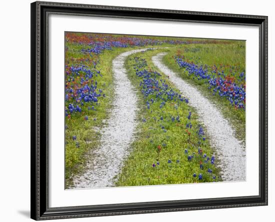 Tracks Leading Through a Wildflower Field, Texas, USA-Julie Eggers-Framed Photographic Print