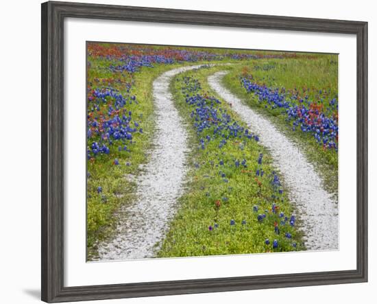 Tracks Leading Through a Wildflower Field, Texas, USA-Julie Eggers-Framed Photographic Print