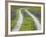 Tracks Leading Through a Wildflower Field, Texas, USA-Julie Eggers-Framed Photographic Print