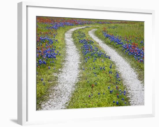 Tracks Leading Through a Wildflower Field, Texas, USA-Julie Eggers-Framed Photographic Print