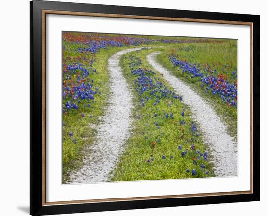 Tracks Leading Through a Wildflower Field, Texas, USA-Julie Eggers-Framed Photographic Print