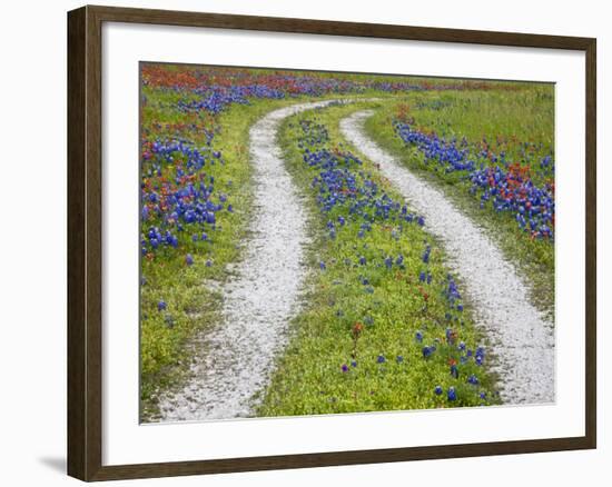 Tracks Leading Through a Wildflower Field, Texas, USA-Julie Eggers-Framed Photographic Print