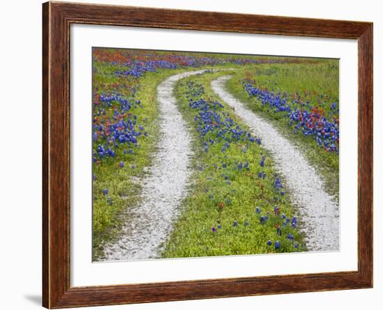 Tracks Leading Through a Wildflower Field, Texas, USA-Julie Eggers-Framed Photographic Print