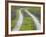 Tracks Leading Through a Wildflower Field, Texas, USA-Julie Eggers-Framed Photographic Print