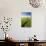 Tracks Leading Through Wheat Field-Terry Eggers-Photographic Print displayed on a wall