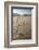 Tracks of a Grizzly Bear Family in the Mud Flats of Alsek Lake in Glacier Bay National Park, Alaska-Justin Bailie-Framed Photographic Print