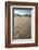 Tracks of a Grizzly Bear Family in the Mud Flats of Alsek Lake in Glacier Bay National Park, Alaska-Justin Bailie-Framed Photographic Print