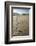 Tracks of a Grizzly Bear Family in the Mud Flats of Alsek Lake in Glacier Bay National Park, Alaska-Justin Bailie-Framed Photographic Print