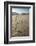 Tracks of a Grizzly Bear Family in the Mud Flats of Alsek Lake in Glacier Bay National Park, Alaska-Justin Bailie-Framed Photographic Print