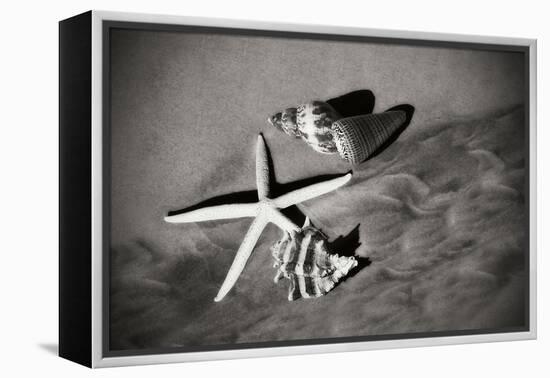 Tracks of the Tide I-Alan Hausenflock-Framed Premier Image Canvas