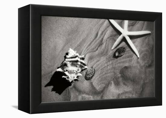 Tracks of the Tide III-Alan Hausenflock-Framed Premier Image Canvas