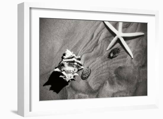 Tracks of the Tide III-Alan Hausenflock-Framed Photographic Print